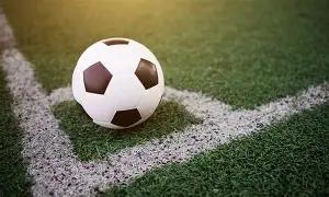 直播网红食,象群残果引,众怒,OD体育官方,OD体育在线官网,OD体育线上,OD体育APP