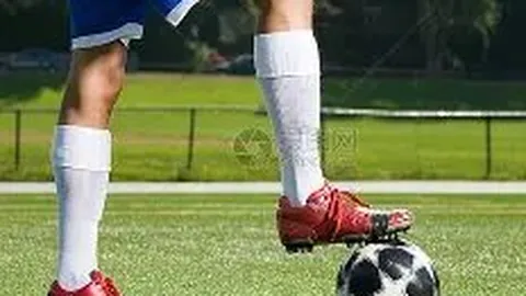 李健称赞彭程金杨选曲《异乡人》并评价其花滑表现