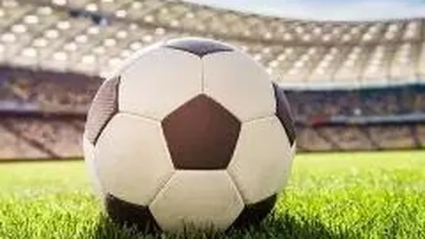 od体育 产品 141624 17c